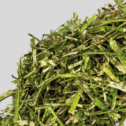 raufutter bubblenavibild